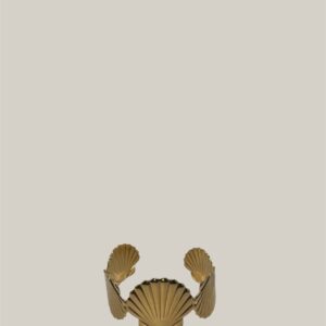 Jonc coquillage doré  🐚